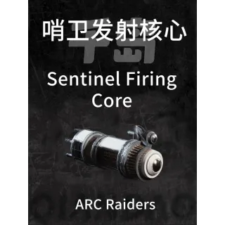 Sentinel firing core