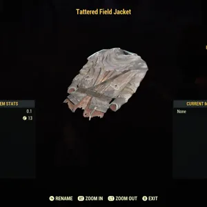 tattered field jacket