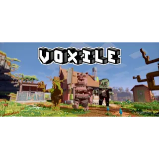 Voxile [GLOBAL STEAM KEY]