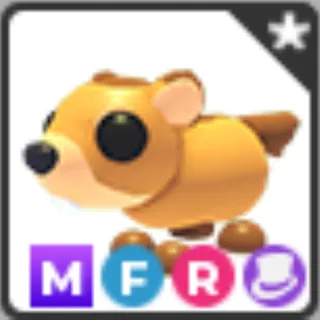 mfr groundhog