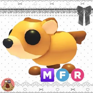 adopt me mfr groundhog