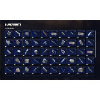 81 Blueprint Bundle