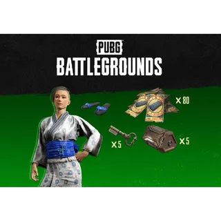 PUBG Battlegrounds - 2023 Summer Pack XBOX One / Xbox Series X|S Key