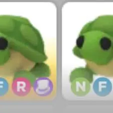 NFR Turtle 2x