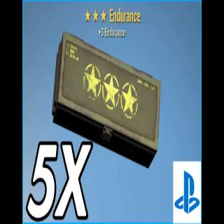 5x Endurance ⭐⭐⭐.