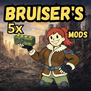 5x Bruiser's Mods
