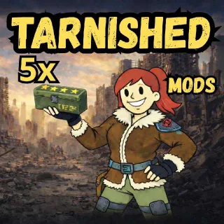5x Tarnished Mods