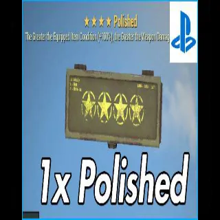 1x Polished Mod