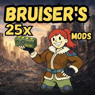 25x Bruiser's Mods