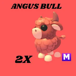 ANGUS BULL 2x MEGA- Adopt me