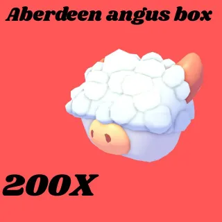 aberdeen angus box 200x- Adopt me