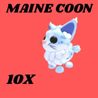 Main coon 10x- Adopt me