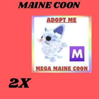 MAINE COON 2x MEGA- Adopt me