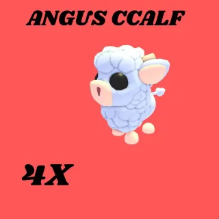 ANGUS CALF 4x- Adopt me