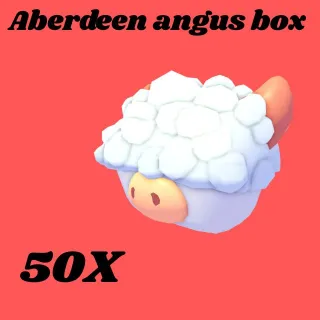 aberdeen angus box 50x- Adopt me
