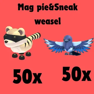 magpie 50x sneak weasel 50x- Adopt me
