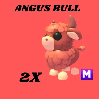 ANGUS BULL 2x MEGA- Adopt me