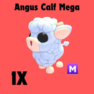 angus calf mega 1x- Adopt me