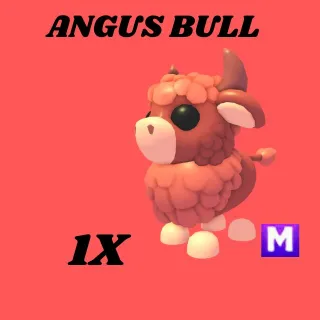 ANGUS BULL 1x- Adopt me