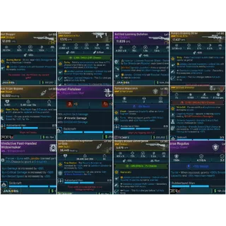 ⭐[GOD ROLL FULL BUILD] L60 CROSSFIRE ST4CKBOT C4SH - UVH7 READY | TRUE MAYHEM 20 TAKEDOWN READY - 12 ITEMS⭐