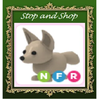 Pet | NFR Fennec Fox