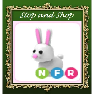 Pet | NFR Bunny