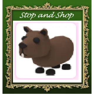 Pet | Capybara No Potion