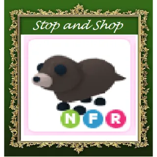 Pet | NFR Otter