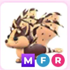 MFR CCBD