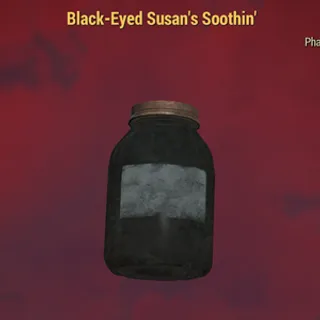 Black Eyed Susan x50