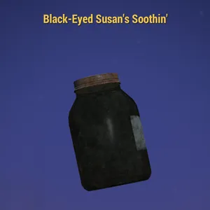 100 Black Eye Susan