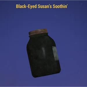 50 Black Eyed Susan