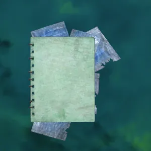 Rusted Hog Splitter Plan