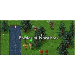 Battles of Norghan steam cd key 