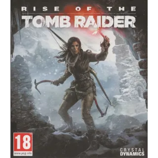 Rise of the Tomb Raider steam cd key 
