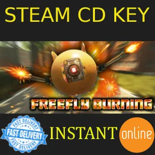 FreeFly Burning Steam Key GLOBAL