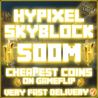 HYPIXEL SKYBLOCK COINS 500M