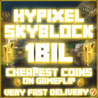 HYPIXEL SKYBLOCK COINS 1B