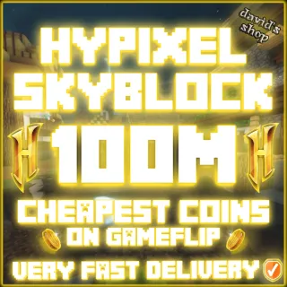 HYPIXEL SKYBLOCK COINS 100M