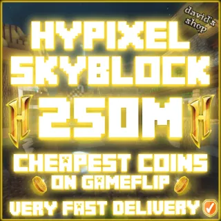 HYPIXEL SKYBLOCK COINS 250M