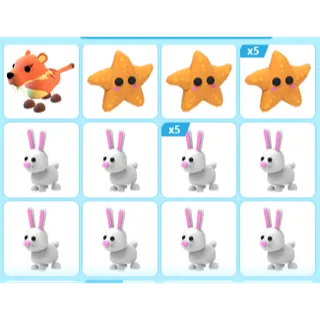 20X ADOPT ME PETS
