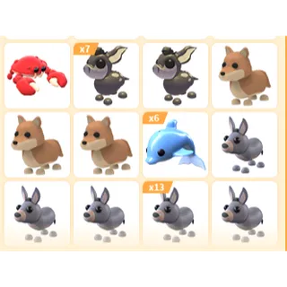 35X ADOPT ME PETS