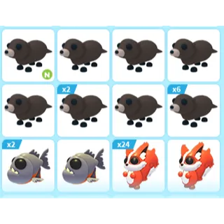 42X ADOPT ME PETS