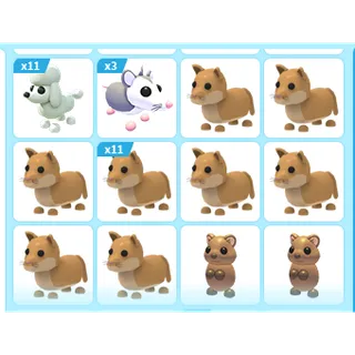 34X ADOPT ME PETS