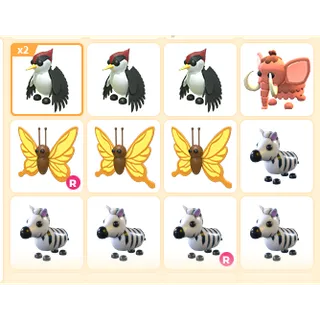 13X ADOPT ME PETS