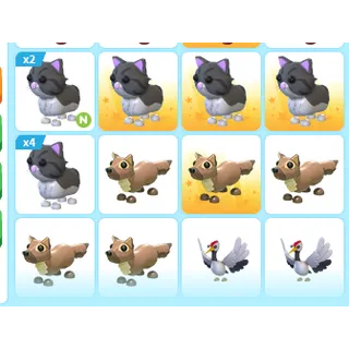 16X ADOPT ME PETS