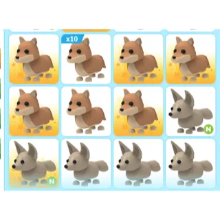 21X ADOPT ME PETS