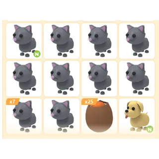 42X ADOPT ME PETS