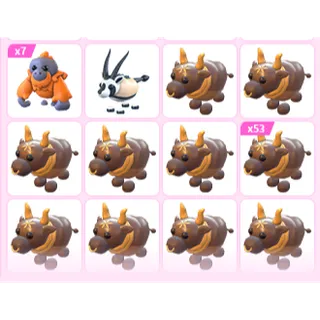 70X ADOPT ME PETS
