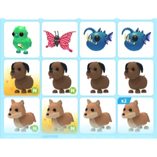 13X ADOPT ME PETS